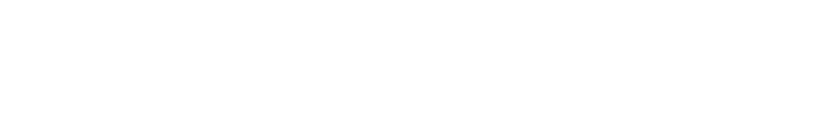 Téléchargement de Teamviewer